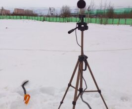 экология15
